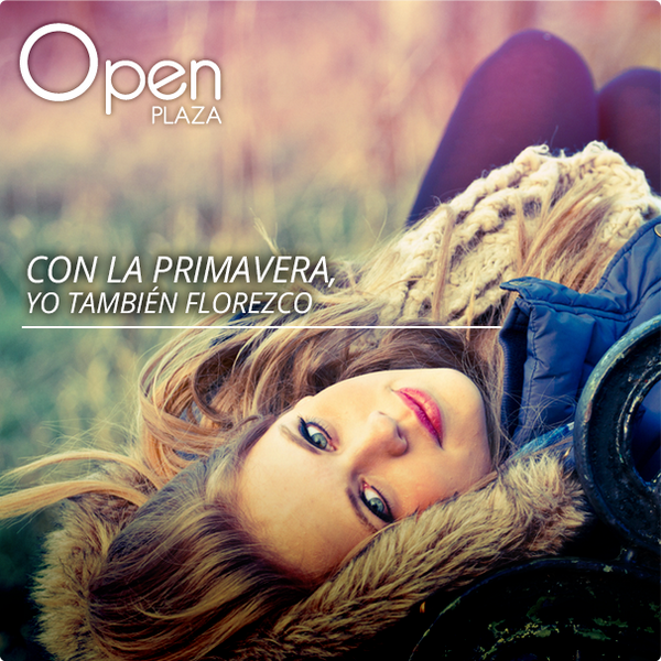 Open Plaza tweet media