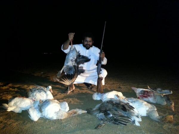 Raed32M's tweet photo. @ALMUZAYENPRO 
تم طرح اليوم الفجر في الساحل الغربي  
( الشعيبه ) 
٨ وزات 
#يتع http://t.co/UYZzxm0xNz