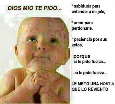 lidia sanchez tweet media