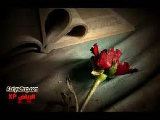 شَــمريــہ♔ tweet media