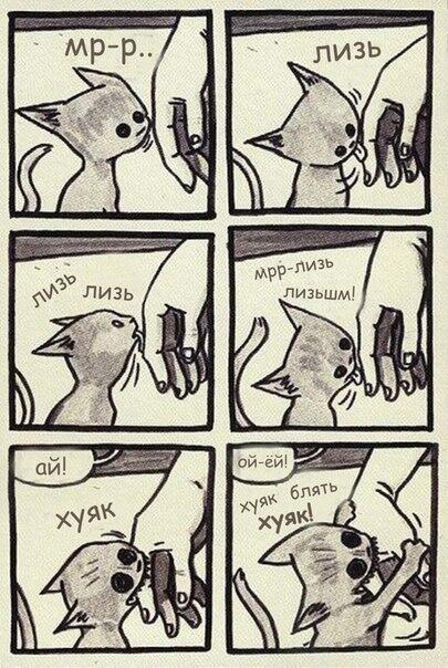 Redlight_Fil's tweet image. ржу как сучка с последней фразы:D