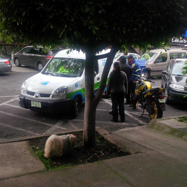 Parquimetros prado Norte