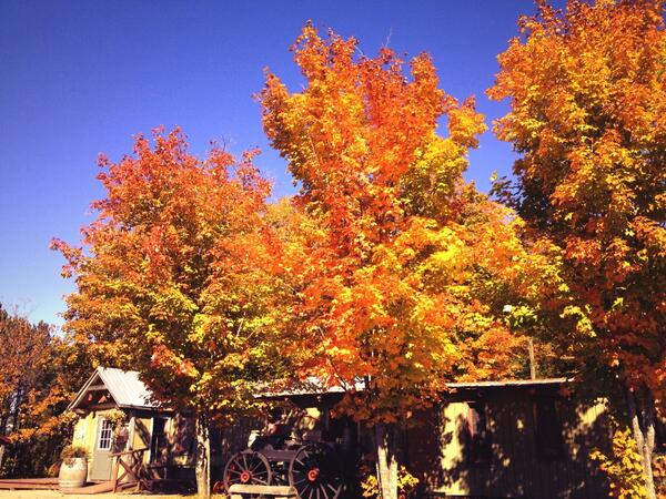 tableepionniers's tweet photo. L'automne et ses couleurs sont bien installés dans la région #wow #tremblant #stfaustinlaccarré http://t.co/Pe4hIdm7Gi