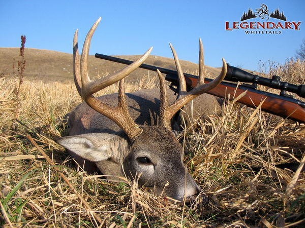 DeerGear's tweet photo. RT you like to see this! #WeAreLegendary #Whitetail #Deer #Hunting  http://t.co/GVPzcqEWAR http://t.co/X0PcvZ5Vl0