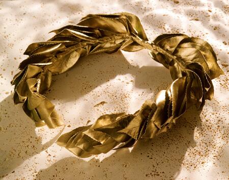 HealerOfTheGods's tweet photo. The fact that a laurel is one of many symbols just shows how awesome I am. #symbol #lastoneIswear http://t.co/jxjJcpCH1e