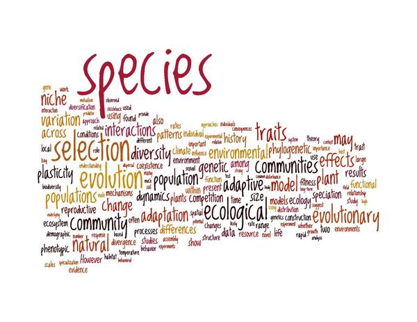 ASN’s wordle of conference abstracts