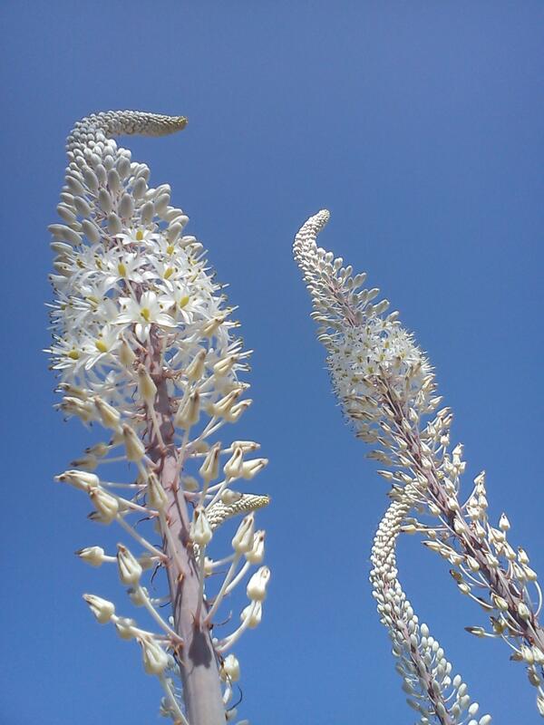 Djerba Tunisia tweet media