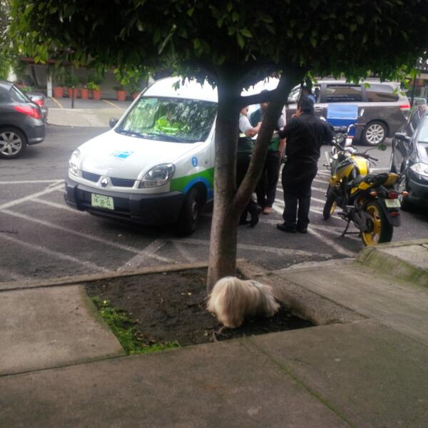 Parquimetros! DF Prado Norte Lomas De Chapultepec!  quien los multa? No respetan nada