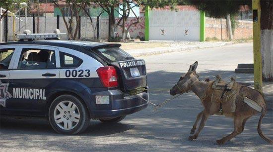 Ex_zorrita's tweet photo. impactante imagen  del momento en que laura bozzo es expulsada del pais #FueraLauraBozzoDeMéxico http://t.co/7RPXjpPNR0