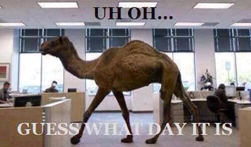 ShockWavezDjs's tweet image. What&apos;s today? #HumpDay shockwavezdjs.com