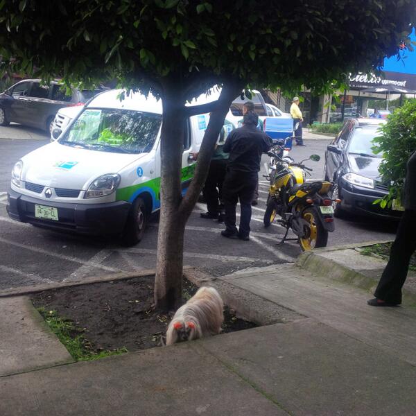 PARQUIMETROS EN PRADO NORTE LOMAS DE CHAPULTEPEC! HACEN LO QUE QUIEREN! NO RESETAN NADA
<a href="/lopezdoriga/">Joaquín López-Dóriga</a>