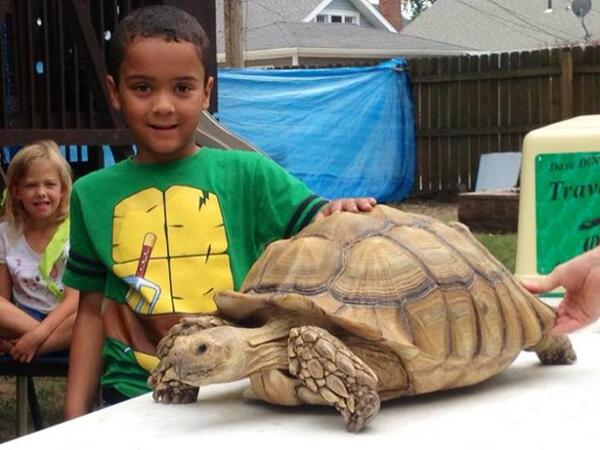 Angelique Turner tweet media