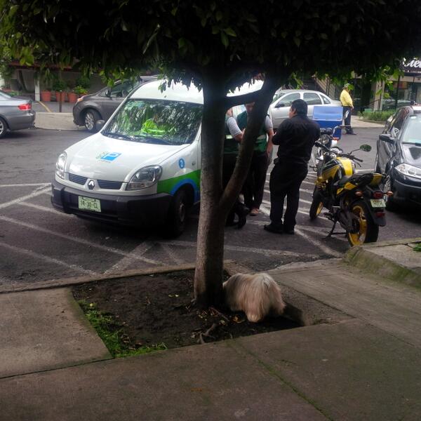 Quien pone orden a los parquimetros! NO respetan nada 
Prado Norte Lomas de Chapultepec