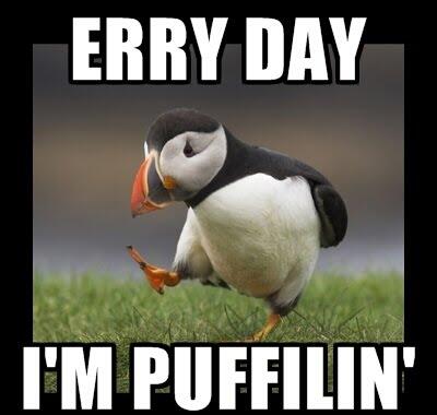 #TeamPuffin #SaveThePuffins @prsancho