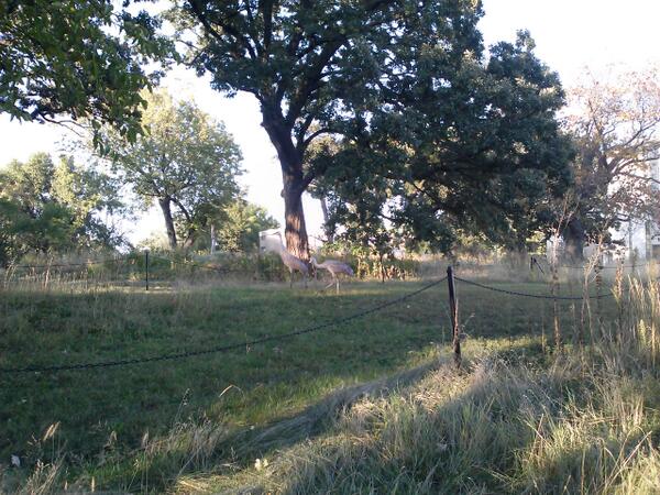 Tristan Abbott tweet media