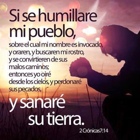 Imagen relacionada