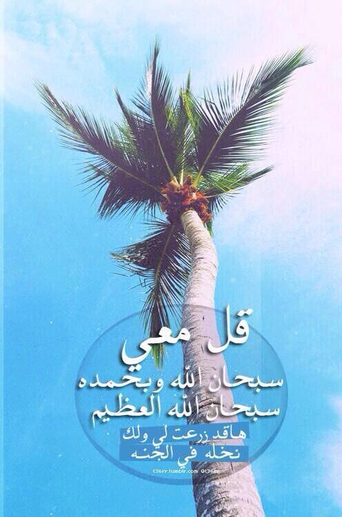 k_alshenaif's tweet photo. اصبحنا واصبح الملك لله.. http://t.co/UW7tl9zkuw