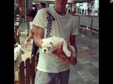 _Diego2004's tweet photo. El perro dormido. Gran cosa http://t.co/AwV6HXwc2q