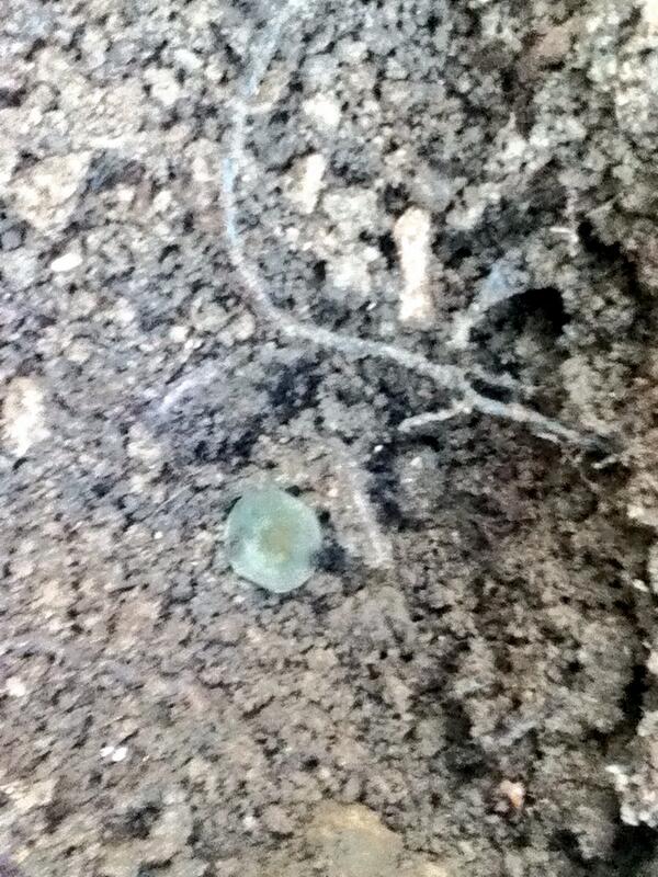 Roundness in the hole!