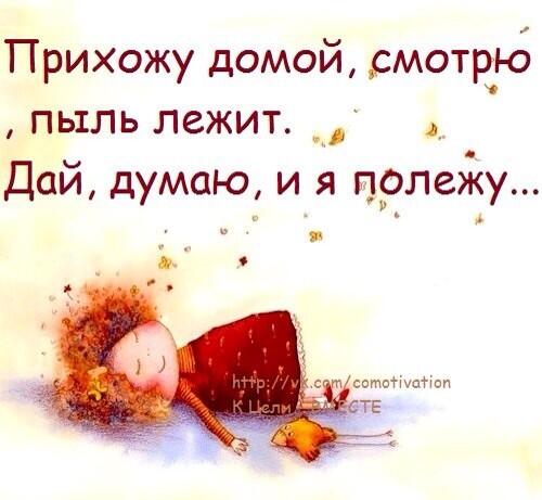 пришла домой пыль лежит. прихожу домой пыль лежит и я полежу. прихожу домой смотрю пыль лежит дай думаю и я полежу. прихожу домой пыль лежит дай думаю и я полежу. лежи дай.