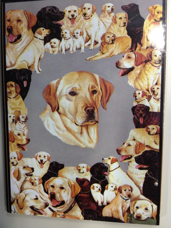 Found this on <a href="/haroldashiel/">Harold McShiel</a>'s desk. The dog in the centre is having troubled PTSD flashbacks about other dogs.