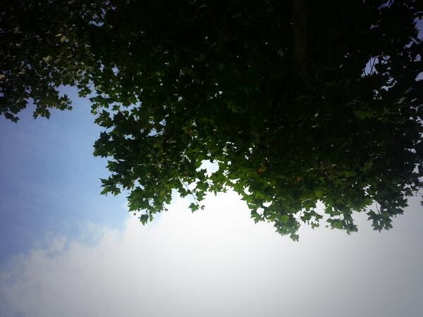 Cloud gazing at lunch #foreversummer