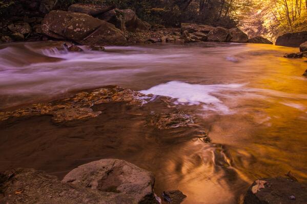 AboutPhotoBlog's tweet photo. 13 Tips on capturing Fall Color images http://t.co/7vlXJBxzqs http://t.co/WA3nAF4anC