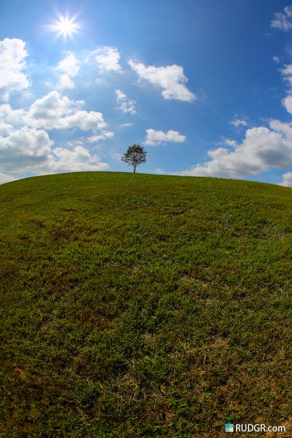 Rudgrcom's tweet photo. Beyond this tree lies a world of magical madness... #Tomorrowworld #ChattahoocheeHills http://t.co/7HFNFhlH7A