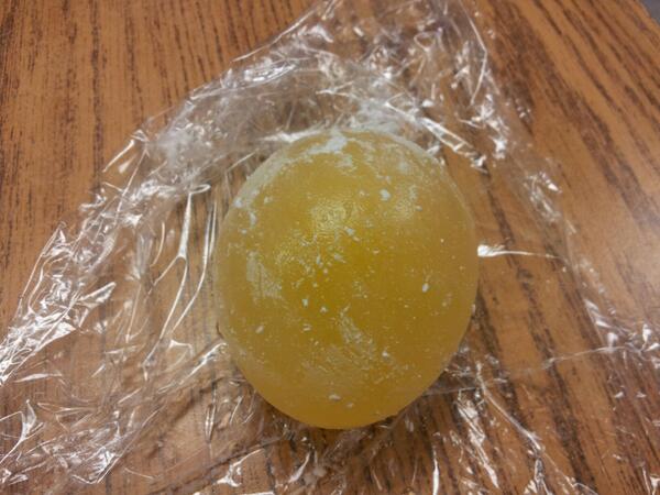 HallLifeScience's tweet photo. Having fun learning about cellular processes with eggs and vinegar. #NCSSBeTheBest http://t.co/jcSoK8tZlO