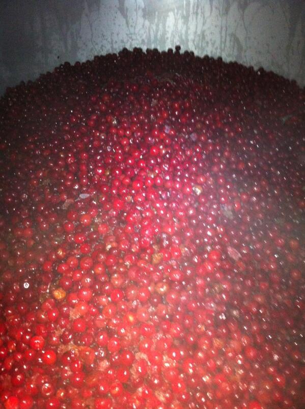 alchemistbeer's tweet photo. Shhhh..... http://t.co/403ZISBXeJ