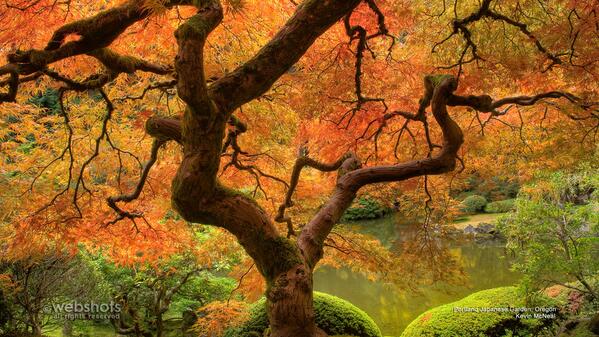 webshots's tweet photo. Enjoy our free HD wallpaper -- updated daily! http://t.co/KBot7YqyMK http://t.co/PnWN9qed49