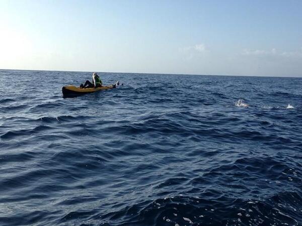 SSandgropers's tweet photo. Lisa swimming with dolphins &amp; Selwyen only 3kms left http://t.co/sMOoQXGbt5