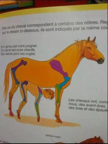 kro777's tweet photo. Les gens qui pondent les livres scolaires, ces gens étranges. http://t.co/6MqRb6gxN8