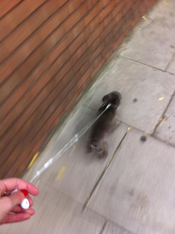 chloe__r's tweet photo. @JojoRegan makeshift lead 🎧 http://t.co/qb3Tag6Up2