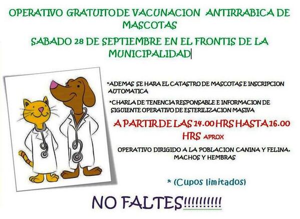 ACTRA PUCON, CHILE tweet media