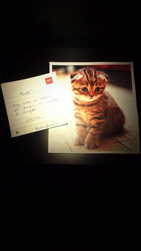 Daniel Tran tweet media