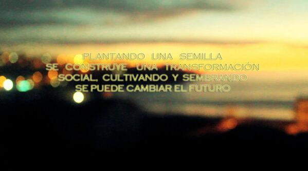 Conaproch Juvenil tweet media