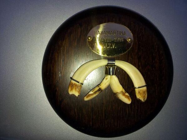 (2) esta tabla d cochina para alguno será ridícula hacerla para mi es el recuerdo d un lance fantást c buenos amigos