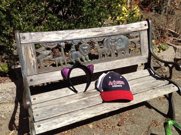 ECPCFound's tweet image. 