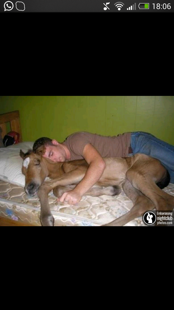 merelvdbergx's tweet photo. Soms word ik gewoon zo wakker na een wilde nacht http://t.co/7Gls5eLAn2