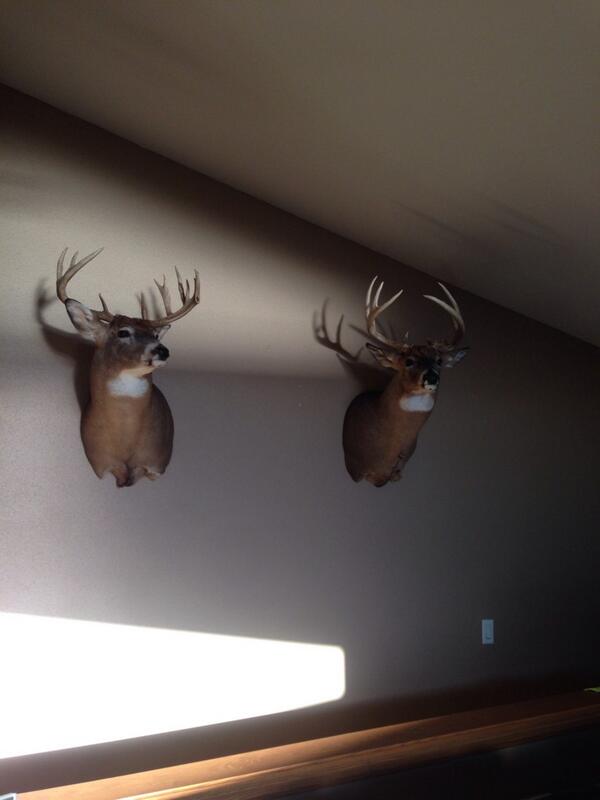 lukebowski's tweet photo. Finally got our mount back #looksgood http://t.co/gDdpk8etCr