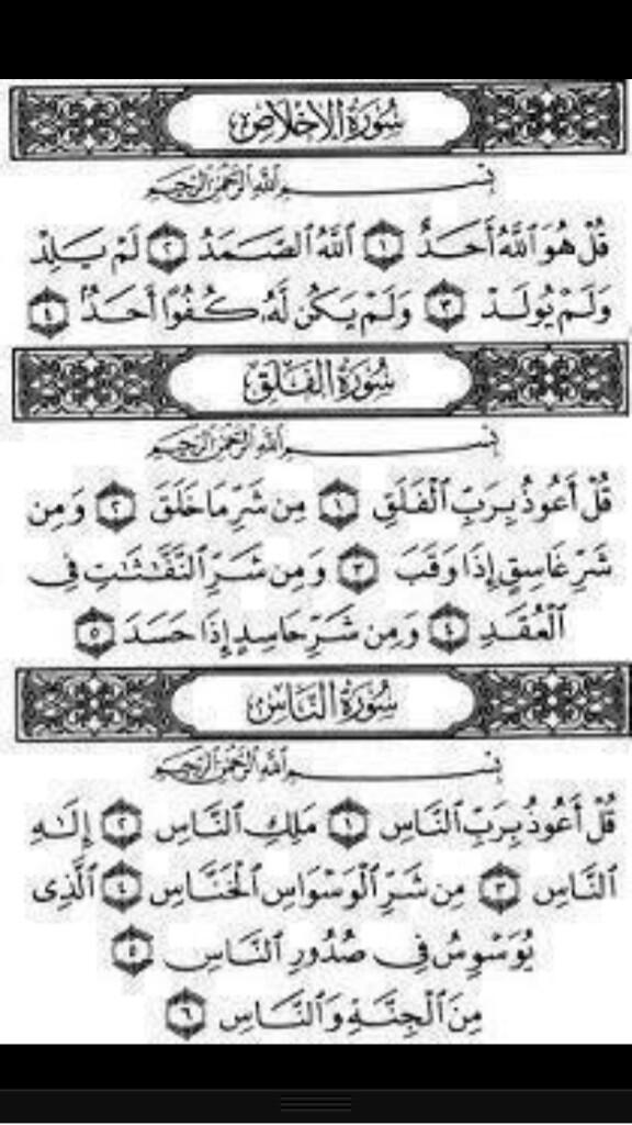 ابو الفوارس tweet media