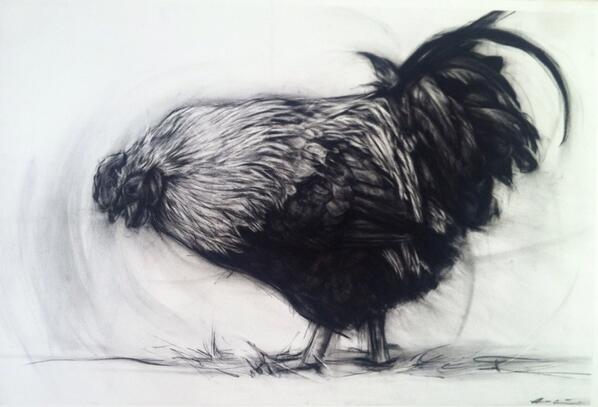 aprilcoppini's tweet photo. New work up at Annie Meyer gallery 120 NW 9th this weekend thru Oct14 http://t.co/HtWck0PJq5