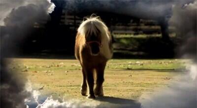 queenBmandie's tweet photo. Lil' Sebastian was not so lil' after all @teegboi http://t.co/LzUJA1Swcq