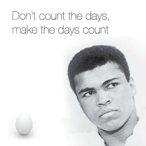 "Don't count the days, make the days count." Muhammad Ali