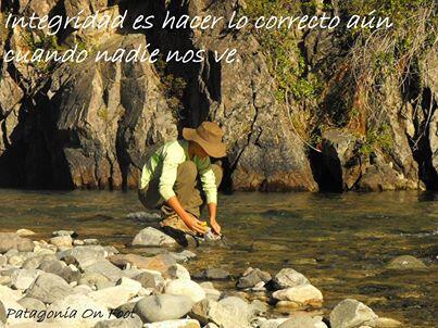 vicky18_profe's tweet image. Valores humanos #AlmaEnPaz