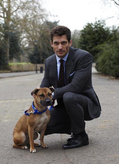 please follow David Gandy's charities #ff <a href="/BlueSteelAppeal/">Blue Steel Appeal</a> and @BDCH <a href="/Style4Soldiers/">Style for Soldiers</a> <3 <3