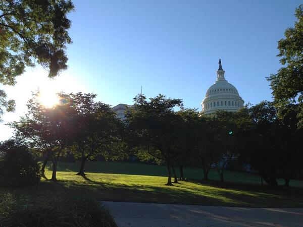 CaseyTrees's tweet photo. Another reminder of how unique & special #DCTrees are, from the Capitol Hill's Olmsted Summerhouse: #sunnyDC http://t.co/Va5vR0sJ9x