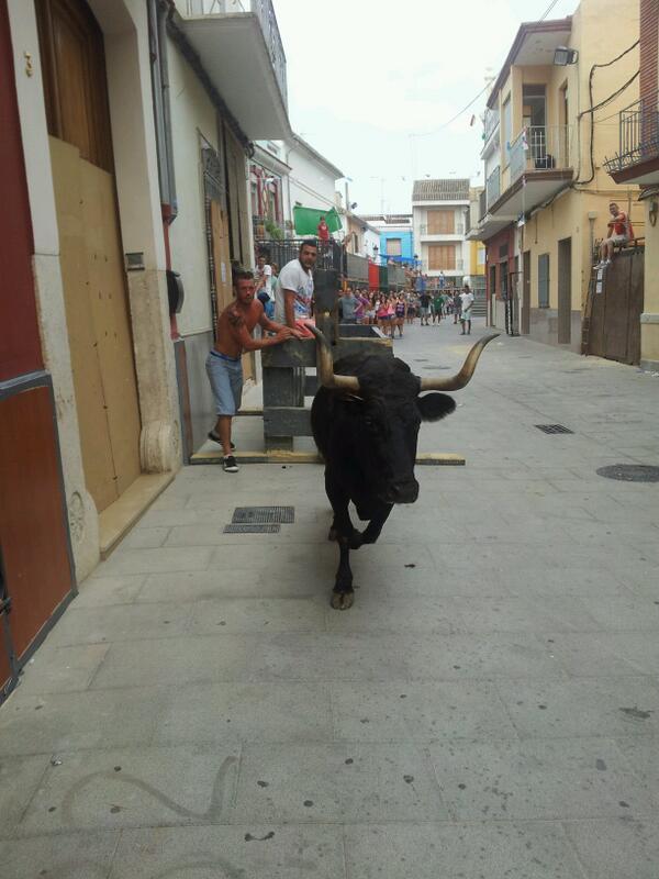12soral's tweet photo. ole oleee @SoniaUcles http://t.co/JCua3oOygy