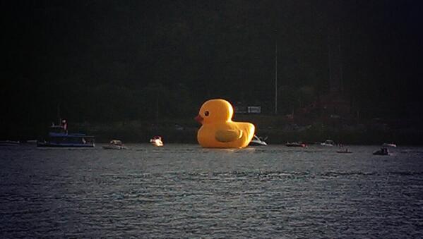 anti_duck's tweet photo. EVIL EVIL DUCK!!! http://t.co/PfsSehsWCe